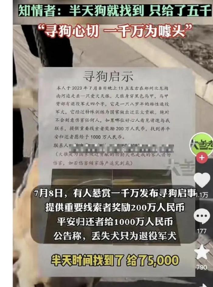 悬赏千万的狗已找到
