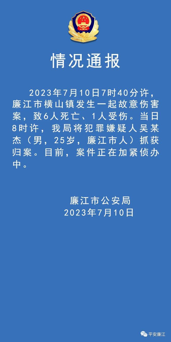 广东廉江故意伤人案致6死1伤