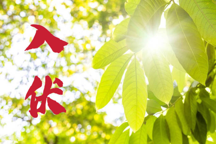 明日入伏注意防暑降温