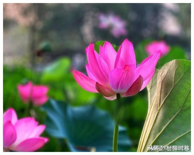 广东高温天气持续