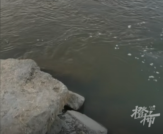 失去浮桥的村庄！当地多位村民回应橙柿互动：浮桥对村庄意义重大，出行方便，从没人掉下河……
