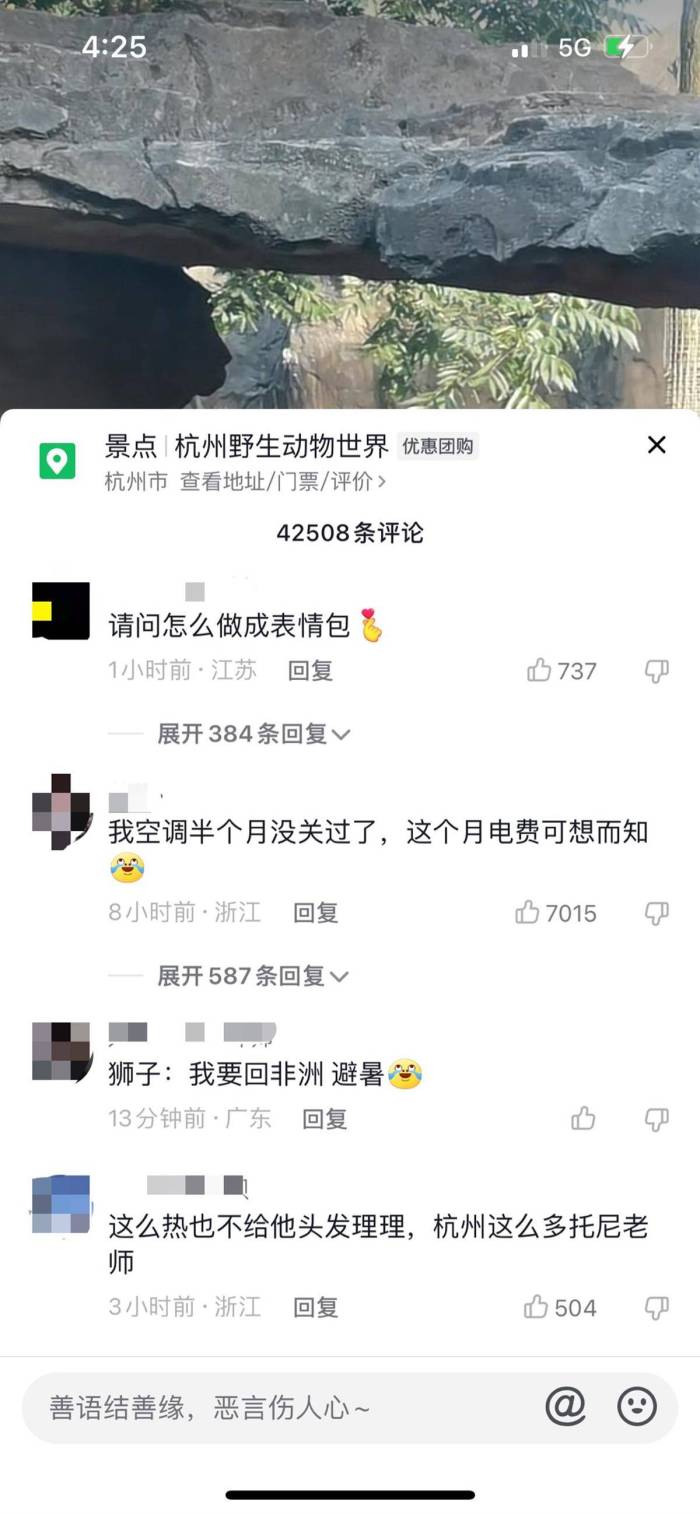 杭州动物园狮子被热成狗