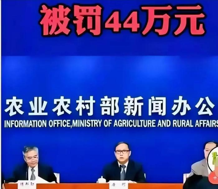 天价罚单：农民私宰猪被罚44万？为什么柿子总捡软的捏？
