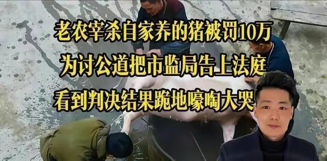 天价罚单：农民私宰猪被罚44万？为什么柿子总捡软的捏？