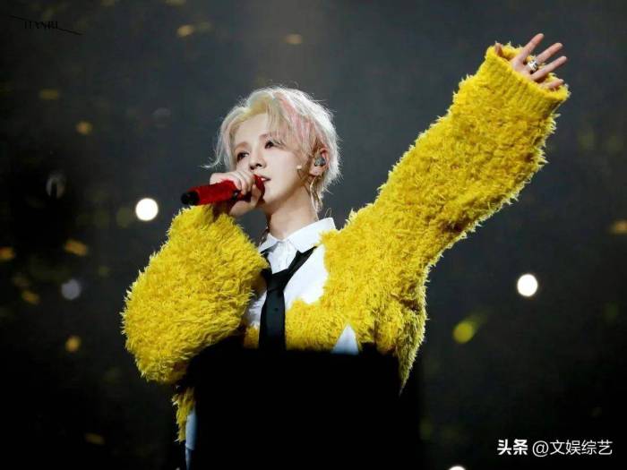 关晓彤又去了鹿晗演唱会