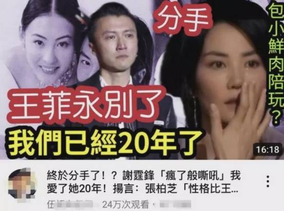 港媒曝谢霆锋王菲正式分手