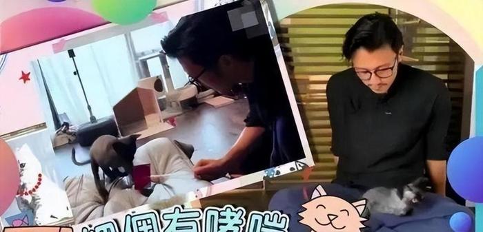 曝谢霆锋承认与王菲分手，女方疑有新欢，网友喊话和张柏芝复婚