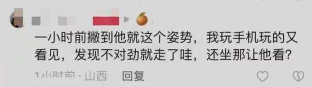 12306回应女子坐火车被上铺男子凝视