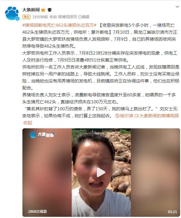 猪场因断电死亡462头猪损失近百万