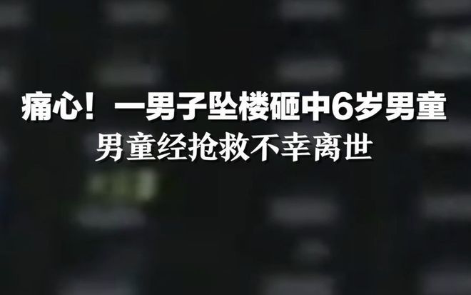 男童被坠楼男子砸中身亡