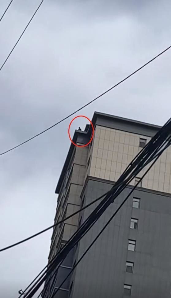 男子因感情纠纷杀人撞人致7死11伤，跑到楼顶但“没敢跳”