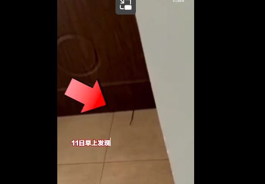 北京女生合租遭男室友用管道内窥镜偷拍，警方：3月份一直到现在