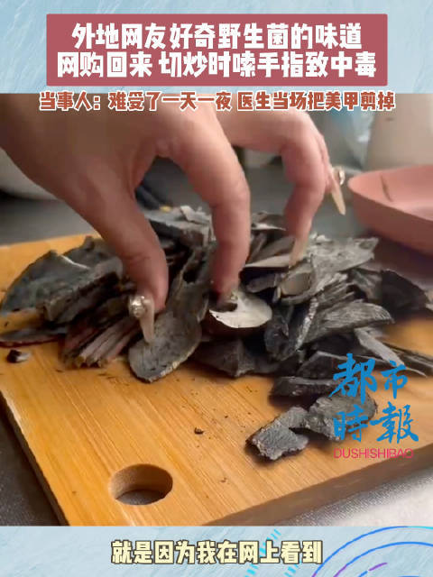 女子切见手青时嗦手指致中毒