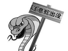 贪吃蛇吞2只鹦鹉被困