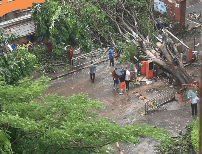 台风泰利17日登陆海南广东