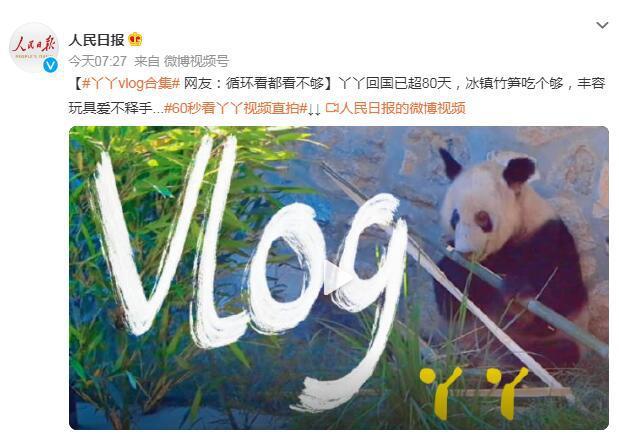 丫丫vlog合集
