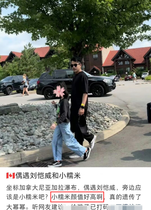 网友加拿大偶遇刘恺威和小糯米，长相惊艳遗传杨幂，9岁已到爸爸胸口