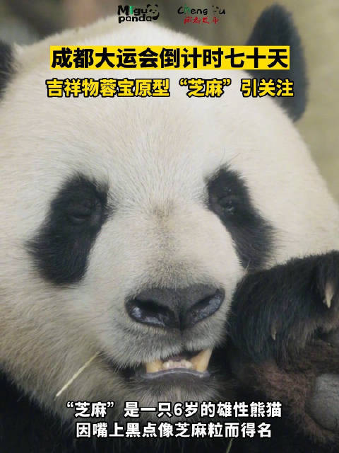 细数大运会吉祥物及原型
