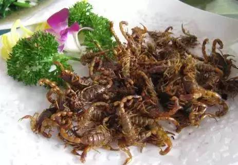 广东人无法接受的食物