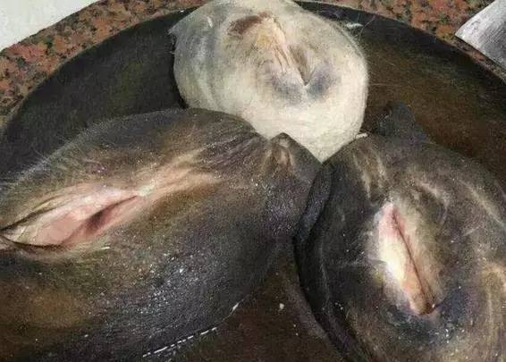 广东人无法接受的食物