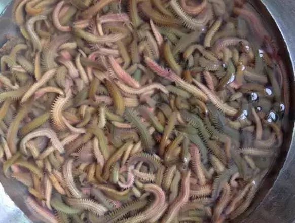 广东人无法接受的食物