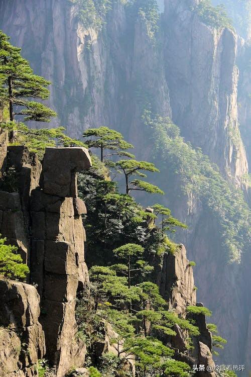 曝游客爬黄山多人持杖互殴