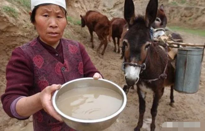 网友吐槽露营民宿男女共用洗澡间