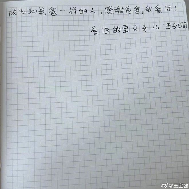 王宝强女儿八角笼中观后感