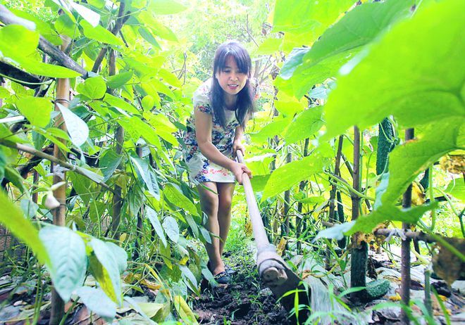 普通家政员成为“科班保姆”后，月薪涨到近2万元