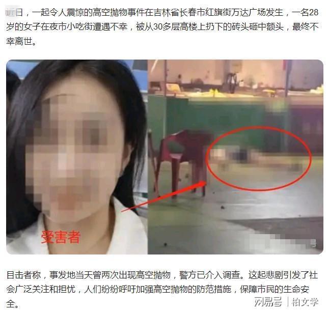 女子被30多层高楼抛砖砸中离世，精神病人伤害他人家属须负责