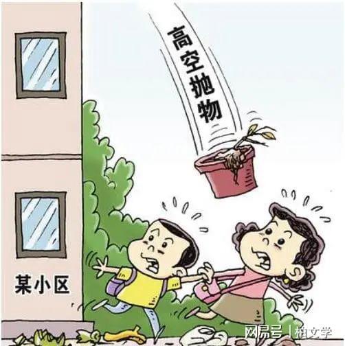 女子被30多层高楼抛砖砸中离世，精神病人伤害他人家属须负责