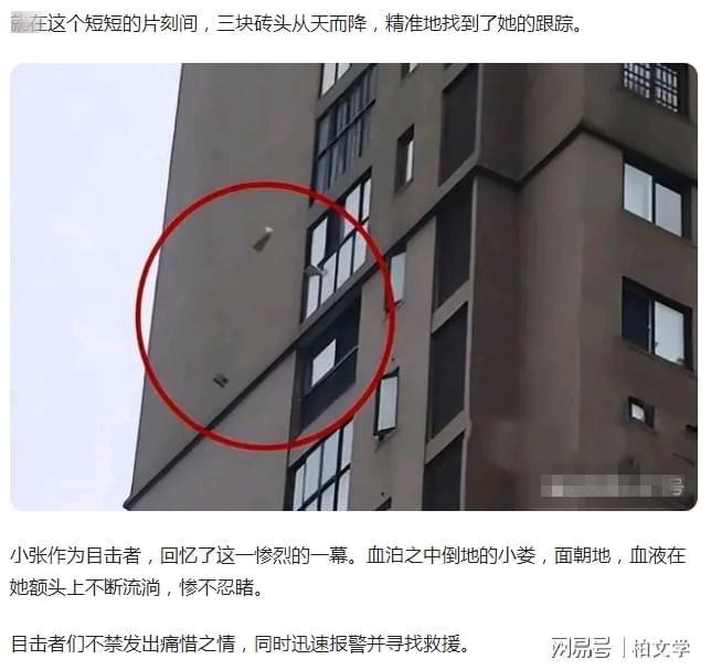 女子被30多层高楼抛砖砸中离世，精神病人伤害他人家属须负责