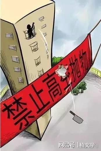 女子被30多层高楼抛砖砸中离世，精神病人伤害他人家属须负责