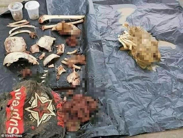 男孩在河边被鳄鱼吃掉，5天后鳄鱼肚里找到其遗骸，家人全程目睹