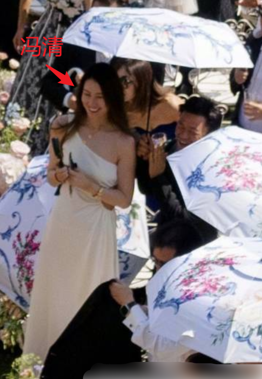 王宝强带冯清参加甄子丹婚礼，全程为女友撑伞，女方高一头反差大