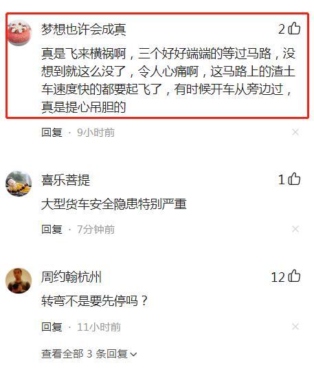 货车为避让私家车侧翻入沟2人死亡