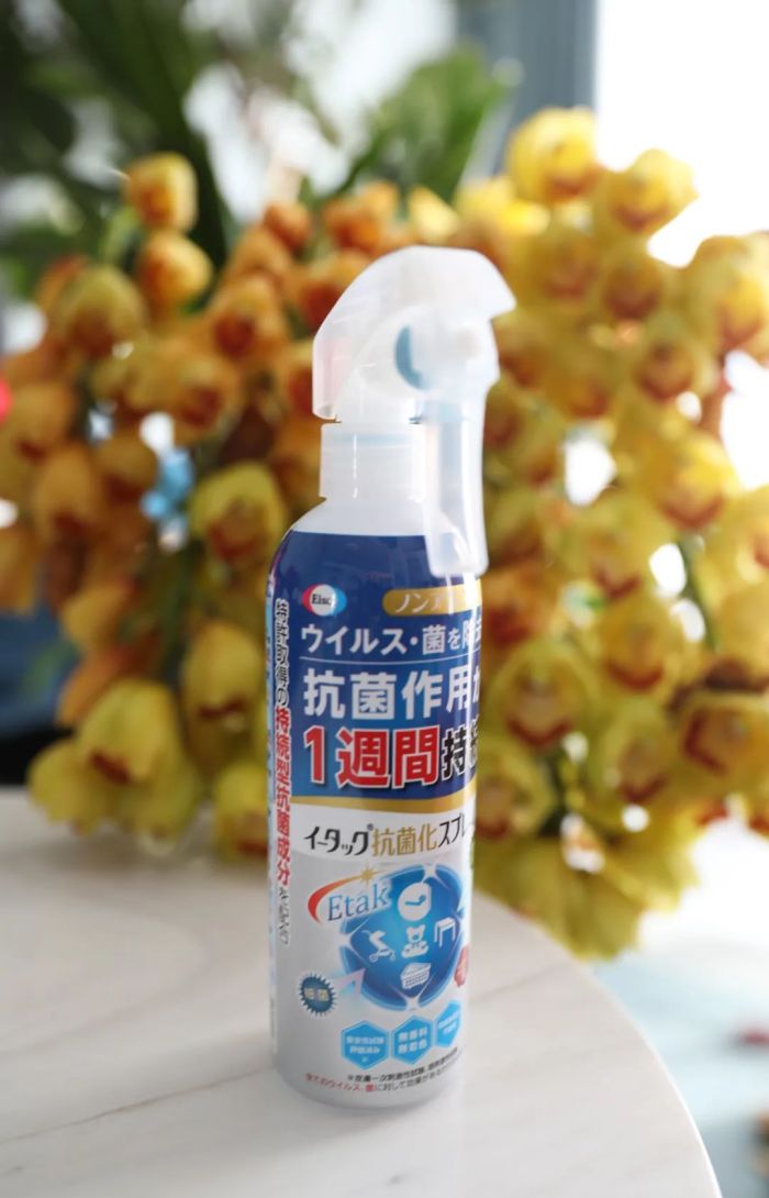 夏日出行精致好物