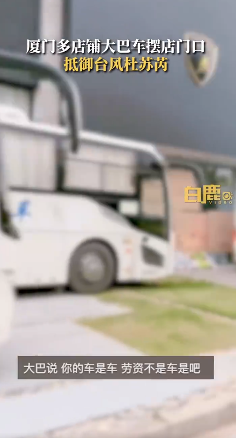 兰博基尼老板租4辆大巴挡台风