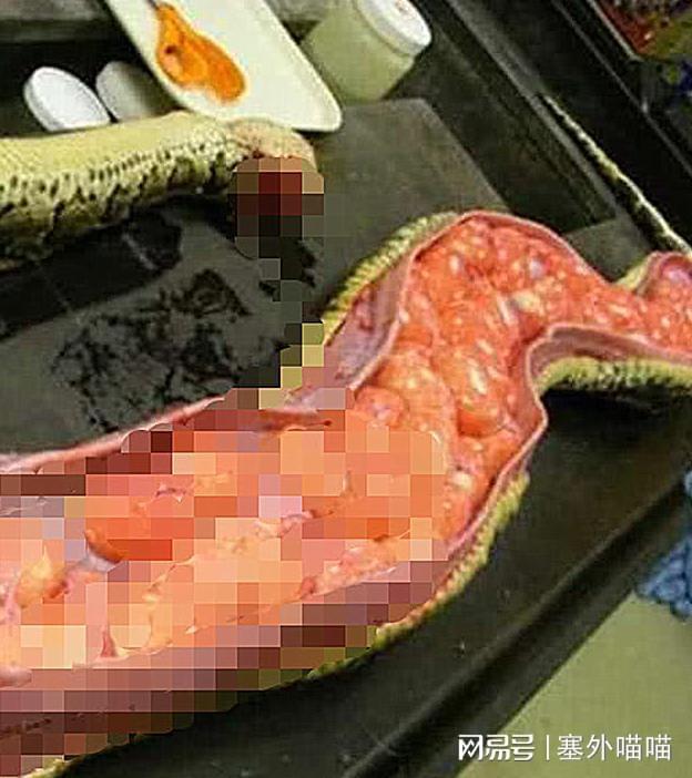 狗狗被蟒蛇活吞，男子为救狗将其肚子切开，不料被眼前的一幕吓到