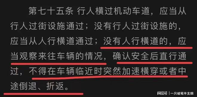 男童被撞身亡被判与肇事司机同责