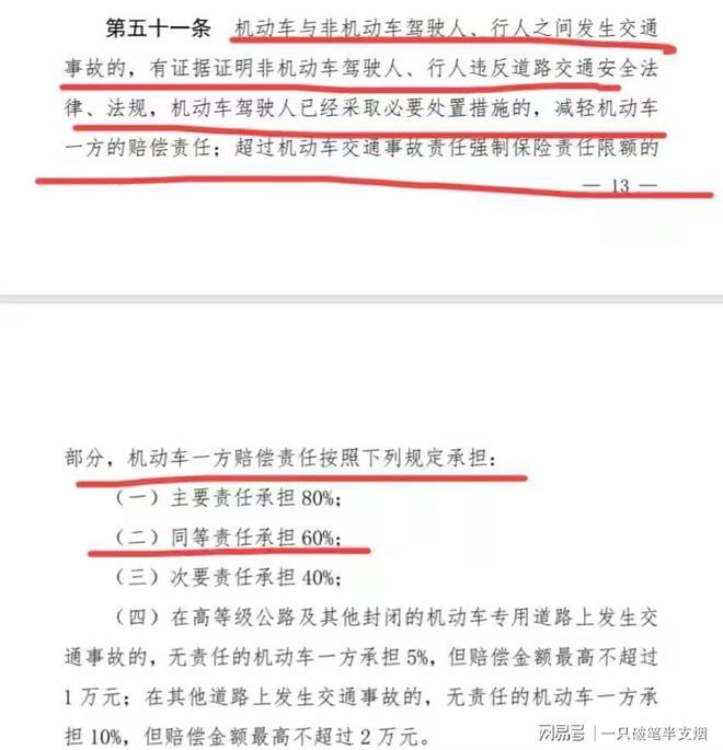 男童被撞身亡被判与肇事司机同责