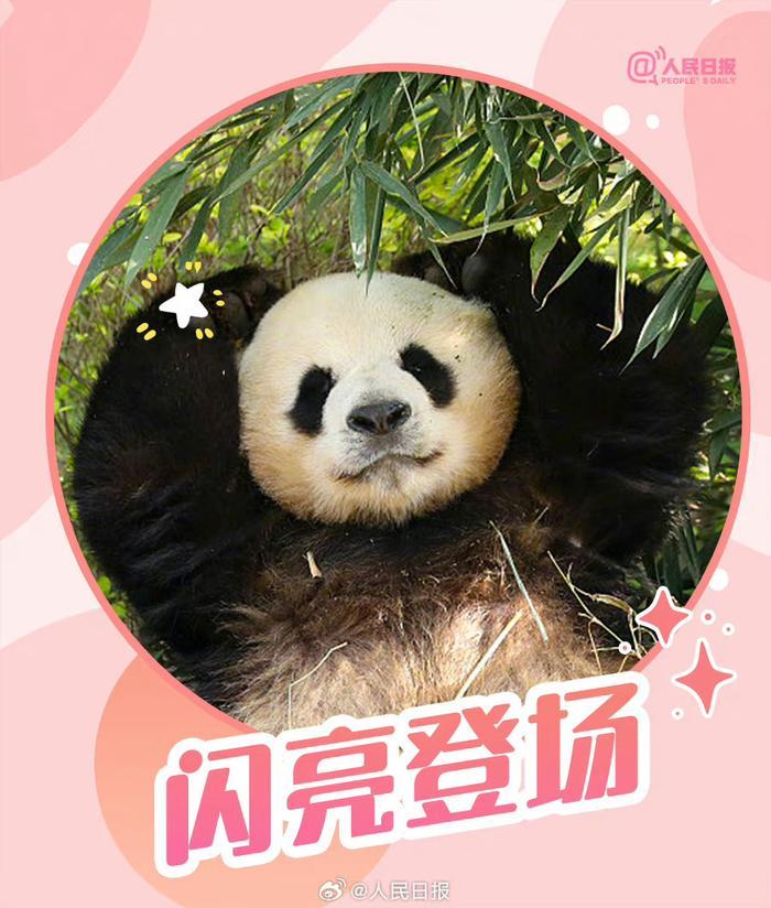 滚滚版大运会加油表情包
