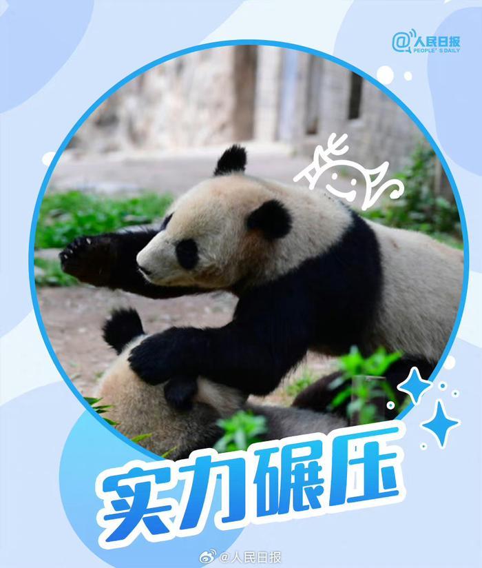 滚滚版大运会加油表情包