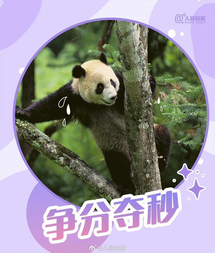 滚滚版大运会加油表情包