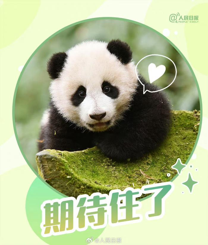 滚滚版大运会加油表情包