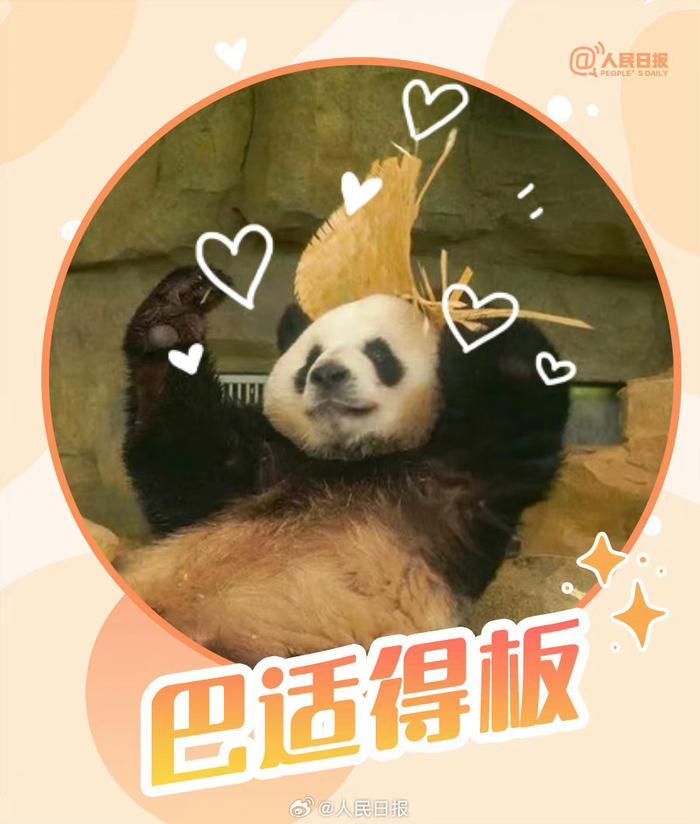 滚滚版大运会加油表情包