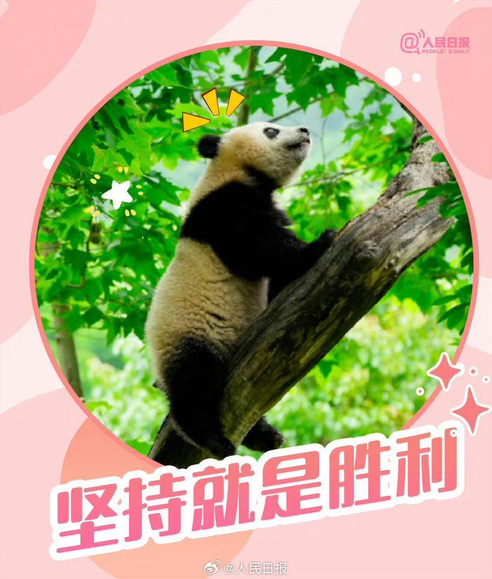 滚滚版大运会加油表情包