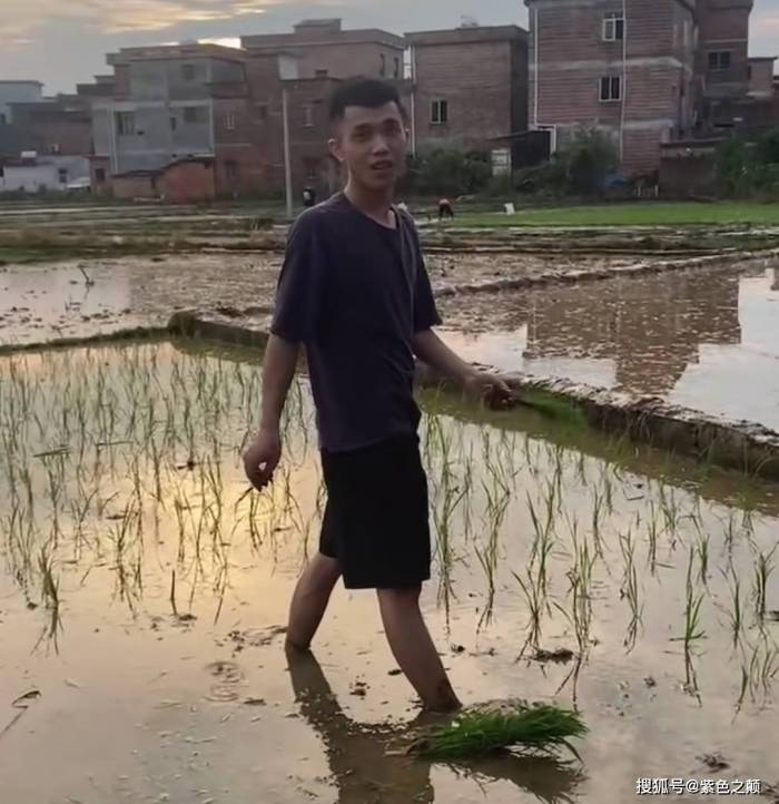 女生插秧缺人前任现任男友齐现身