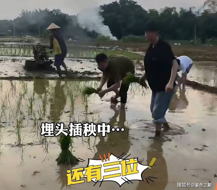 女生插秧缺人前任现任男友齐现身