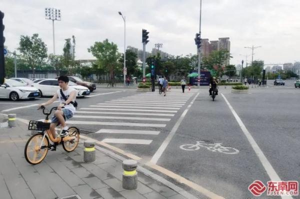 过斑马线看手机？福建一地新规：罚款！